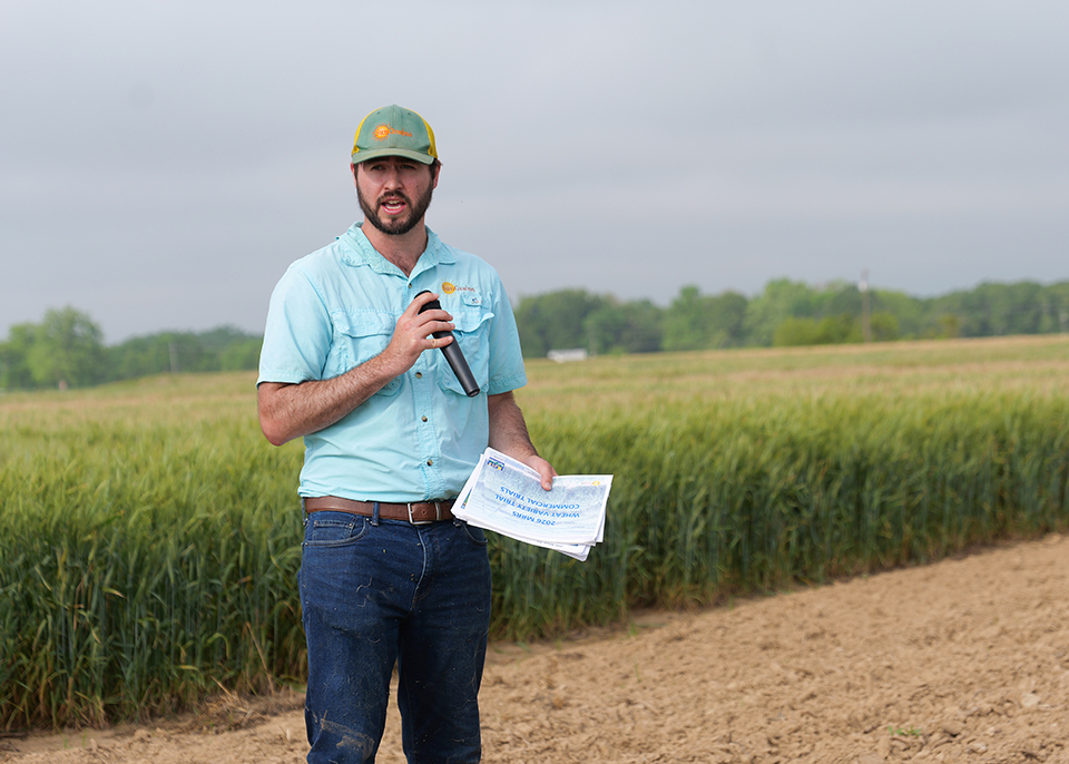 Wheat struggles, breeding advances mark 2026 season